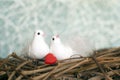 Two little white birds in love with red heart. Valentine`s Day.Se Royalty Free Stock Photo