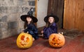 Two little witches Royalty Free Stock Photo