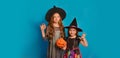Two little witches girls holding Halloween pumpkin, looking at camera and making Boo gesture on a blue background. Royalty Free Stock Photo