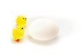 Two little yellow chicken looking curiously on a huge egg. isolated on white background, clipping path. Easter concept. Royalty Free Stock Photo