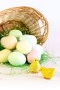 Two little yellow chicks with basket of Easter eggs Royalty Free Stock Photo