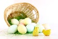 Two little yellow chicks with basket of Easter eggs Royalty Free Stock Photo