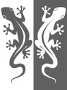 Two lizards symbols