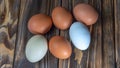 Two llight blue and four brown eggs. Easter Festival concepts. Araucana eggs and the eggs of an ordinary chicken Royalty Free Stock Photo