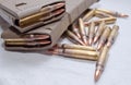 Two loaded .223 rifle magazines with bullets laying around them Royalty Free Stock Photo