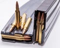 Two loaded rifle magazines with 223 caliber bullets around them