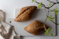 Two loafs of whole grain gluten free homemade bread Royalty Free Stock Photo