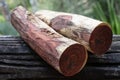 log siam rosewood Royalty Free Stock Photo