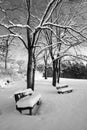 Two lonely benches covered in snow Royalty Free Stock Photo