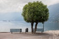 Two lonely benches overlooking the lake Maggiore