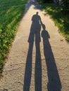 Two long shadows of father and son on asphalt sidewalk walking together at summer sunny day Royalty Free Stock Photo