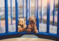 Two lost teddy bear lying on metal bridge at playground in gloomy day, Lonely and sad face brown bear doll lied down in the park,