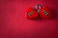 Two love padlock Royalty Free Stock Photo