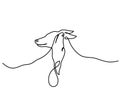 Whippet ,greyhound realistic silhouette outline on white background. Line art. Vector Illustration