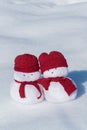 Two lovely snowmen toys on the white snow