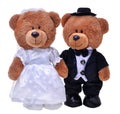 Two lovely teddy bears Royalty Free Stock Photo