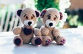Two lovely teddy bears representing a cuople inlove Royalty Free Stock Photo