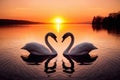 Two beautiful swans facing each other during a gorgeous sunset