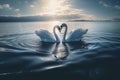 Two beautiful swans facing each other creating a heart shape