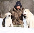 Two lovely yellow labradors in winter in snow portrait