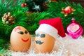 Two lovers celebrate Christmas . Unusual eggs with the muzzle. T Royalty Free Stock Photo