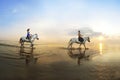 Two lovers galloping on a horse of the sea at suns Royalty Free Stock Photo
