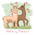 Two lovers, kissing llamas surrounded by hearts. Love is in the air. Inscription You are my Valentine, postcard Royalty Free Stock Photo