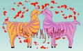 Two lovers, kissing llamas surrounded by hearts. Love is in the air. Inscription You are my Valentine, postcard Royalty Free Stock Photo