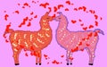 Two lovers kissing llamas surrounded by hearts. Love in the air, postcard to the day of Saint Valentine Royalty Free Stock Photo