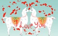 Two lovers, kissing llamas surrounded by hearts. Love is in the air. Inscription I love you, postcard, Valentine's day Royalty Free Stock Photo