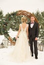 Two lovers, a man and a woman, a wedding in winter. bride and groom love. against the backdrop of decor and trees, snow. holding a Royalty Free Stock Photo