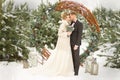 Two lovers, a man and a woman, a wedding in winter. bride and groom love. against the backdrop of decor and trees, snow. holding a Royalty Free Stock Photo