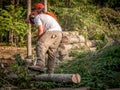 Two lumberjacks cutting trees