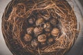 Two luxury golden wedding rings in rustic basket with dry grass