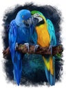 Two macaws are sitting on a branch