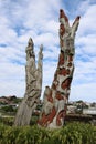 Tree Carvings, Friendly Bay playground, Oamaru, NZ