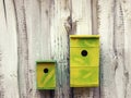 two made of wood and painted birdhouses a large one and a small one hang on a white wall in the spring garden Royalty Free Stock Photo