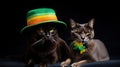 Two Maine Coon cats in a green hat and a green pot on a black background. St. Patrick day concept. Royalty Free Stock Photo
