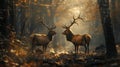 Two stag in the forest during a rut season, staring at camera