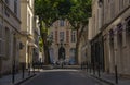 Two majestic trees, quiet street Place de Furstenberg Paris