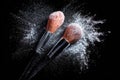 Two makeup brushes with soft bristles are surrounded by a cloud of powder, showcasing beauty tools in an artistic arrangement Royalty Free Stock Photo