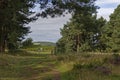 Two Male Cyclists cycling down a Trail through the edge of Tentsmuir Forest on the Fife Coastal Path on an early morning in August