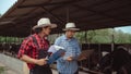 Two male farmer checking on his livestock and quality of milk in the dairy farm .Agriculture industry, farming and animal Royalty Free Stock Photo