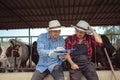 Two male farmer working and checking on his livestock in the dairy farm .Agriculture industry, farming and animal husbandry Royalty Free Stock Photo