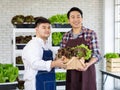 Two male farmers gardeners partner businessmen colleagues in apron standing smiling together holding fresh raw organic green leaf
