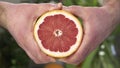 Two male hands squeeze red grapefruit. Grapefruit juice flows down the guy`s hands. In the background are trees on which Royalty Free Stock Photo