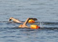 Two men swimming in the bay with orange safety flotation buoys