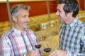 two male winemakers tasting wine in glass in winery cellar