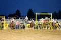 A two man team roping event at a rodeo.