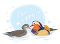 Two Mandarin Ducks in Love. Symbol of Love and Marriage. Card for Valentine Day. Asian Birds. Male and Female. Vector